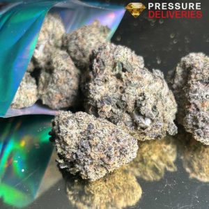 Blue Bombay (Sativa)