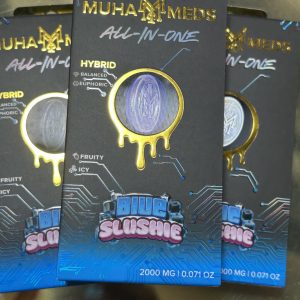 Blue Slushie : Hybrid (2g Disposables)