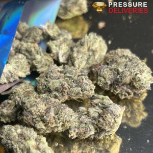 Blueberry Muffin (Indica)