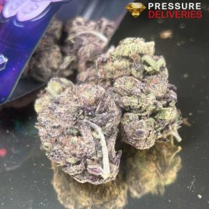 Cinnamon Poptart (Hybrid)