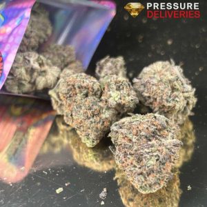 Cookies & Cream (Hybrid)