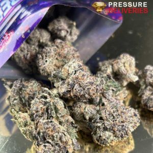 Fruit Punch (Hybrid)
