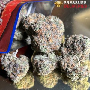 Hazelnut Gelato (Hybrid)