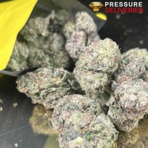 Lemon Pepper (Sativa)