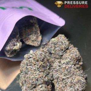 Pink Passion (Indica)
