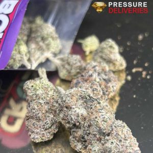 Raspberry Parfait (Sativa)