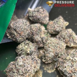 Secret Weapon (Sativa)