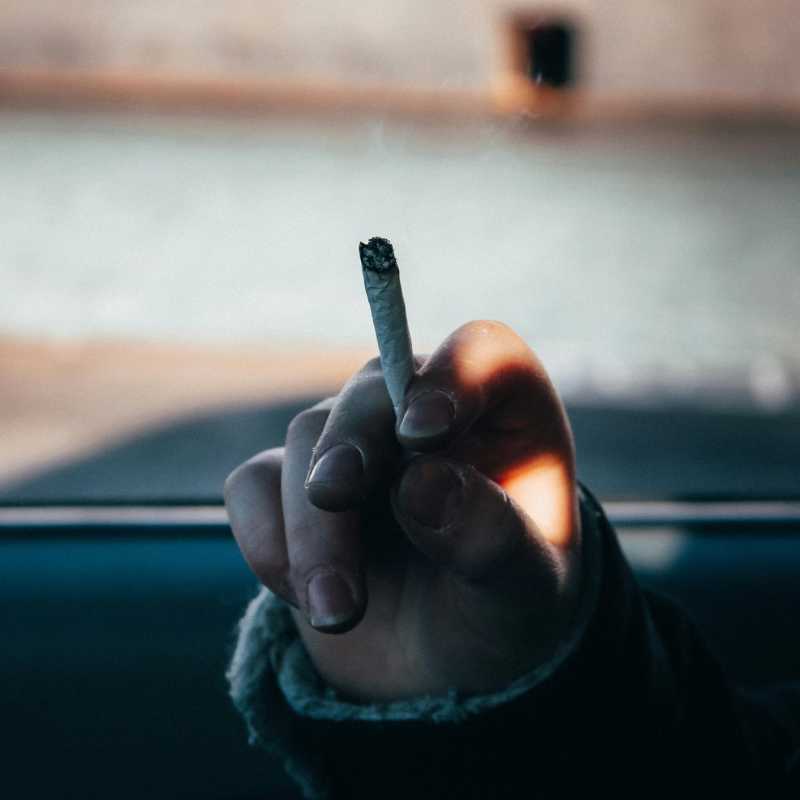 Why “Start Low and Go Slow” With THC Actually Works