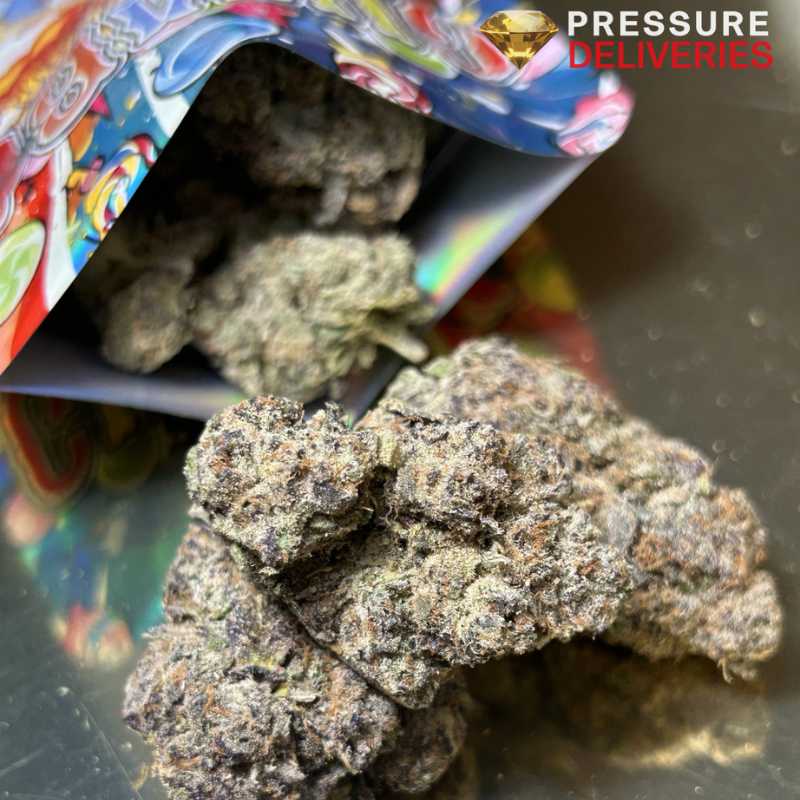 Pink Panther (Indica)