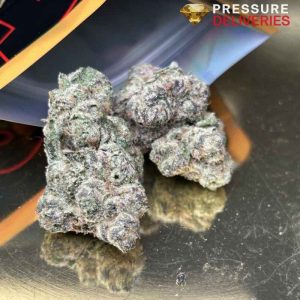 Vanilla Ice Cream (Hybrid)