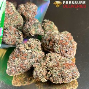 Jungle Boyz (Indica)