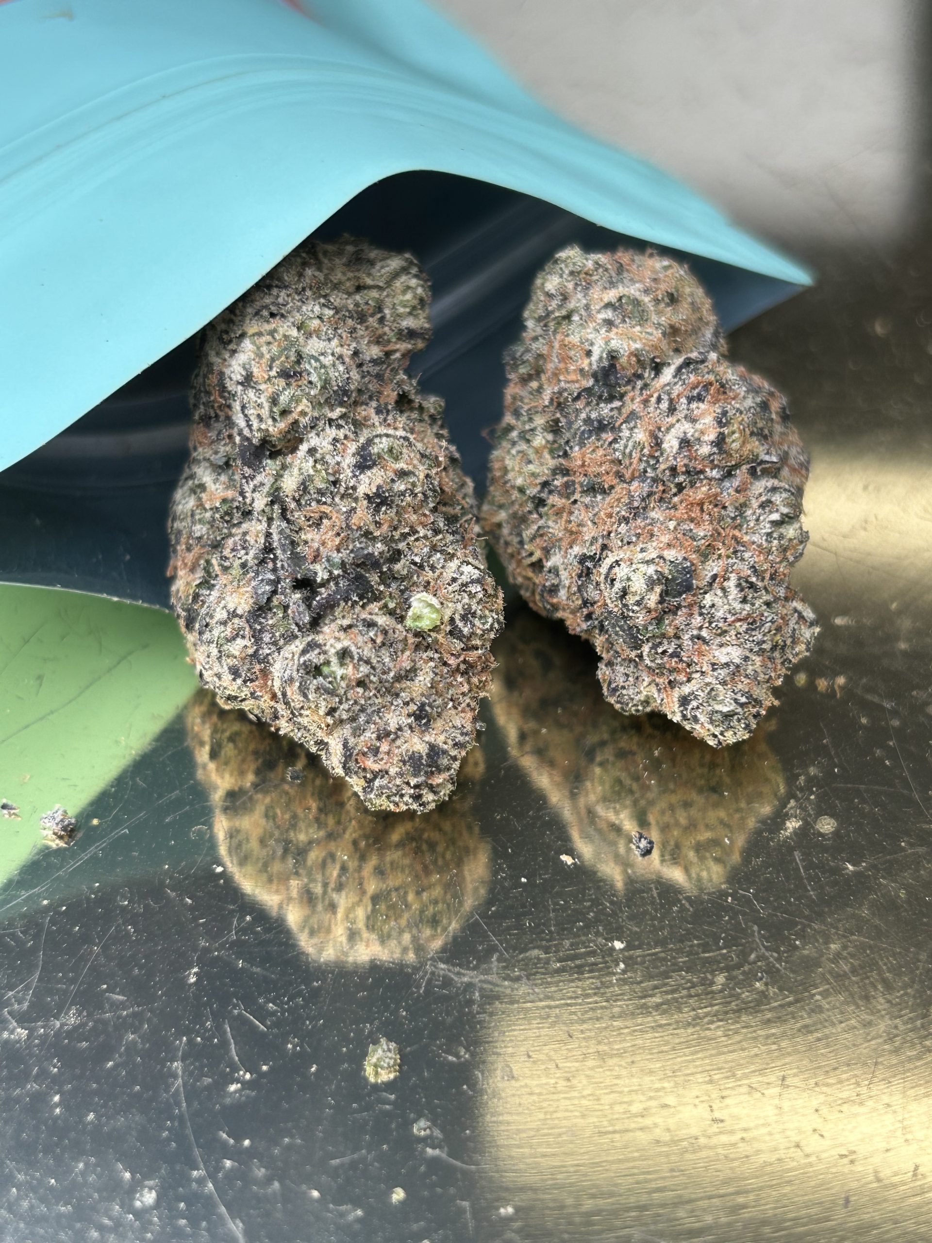 Laffy Taffy (Hybrid)