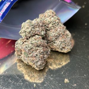 Northern Lights (Hybrid) flower