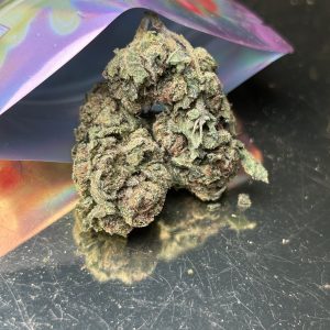 Tropical Truffle (Hybrid) flower
